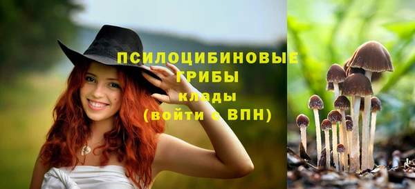 трава Дмитриев